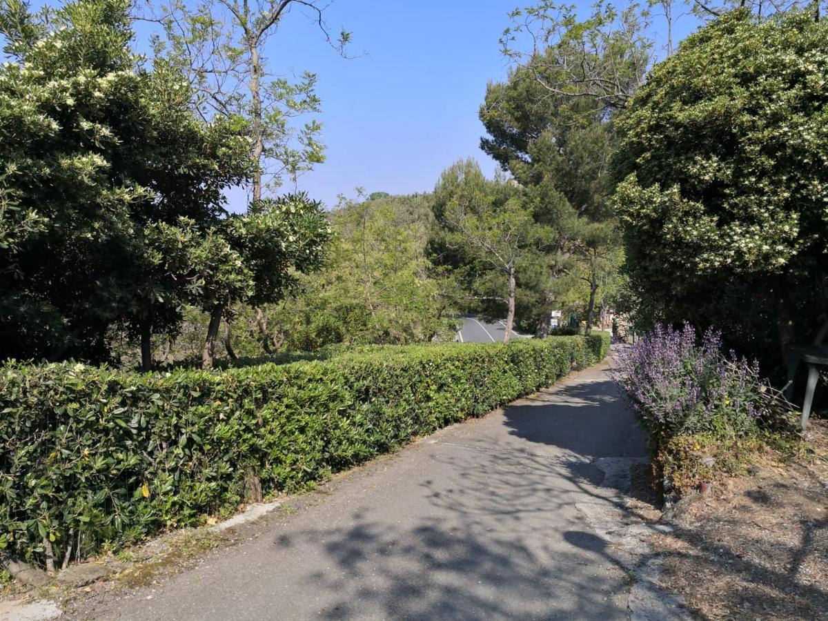 Parco Vacanze Makalle 东塞斯特里 外观 照片